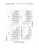 ANTIBODY TARGETING OSTEOCLAST-RELATED PROTEIN Siglec-15 diagram and image