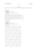 Human Monoclonal Antibodies Against Human Chemokine Receptor CCR7 diagram and image