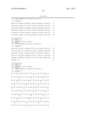 Human Monoclonal Antibodies Against Human Chemokine Receptor CCR7 diagram and image