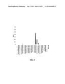 Human Monoclonal Antibodies Against Human Chemokine Receptor CCR7 diagram and image