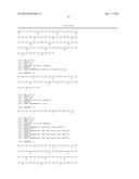 Human Monoclonal Antibodies Against Human Chemokine Receptor CCR7 diagram and image