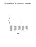 Human Monoclonal Antibodies Against Human Chemokine Receptor CCR7 diagram and image