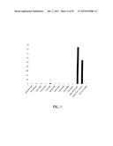 Human Monoclonal Antibodies Against Human Chemokine Receptor CCR7 diagram and image