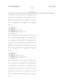 Human Monoclonal Antibodies Against Human Chemokine Receptor CCR7 diagram and image