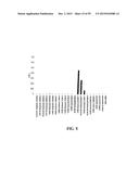 Human Monoclonal Antibodies Against Human Chemokine Receptor CCR7 diagram and image