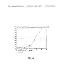 Human Monoclonal Antibodies Against Human Chemokine Receptor CCR7 diagram and image