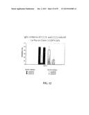 Human Monoclonal Antibodies Against Human Chemokine Receptor CCR7 diagram and image