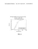 Human Monoclonal Antibodies Against Human Chemokine Receptor CCR7 diagram and image