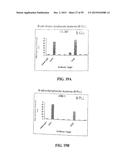 Human Monoclonal Antibodies Against Human Chemokine Receptor CCR7 diagram and image