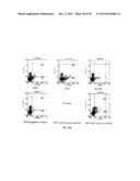 Human Monoclonal Antibodies Against Human Chemokine Receptor CCR7 diagram and image