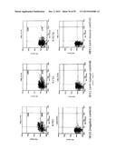 Human Monoclonal Antibodies Against Human Chemokine Receptor CCR7 diagram and image