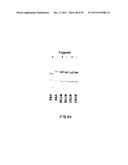 Human Monoclonal Antibodies Against Human Chemokine Receptor CCR7 diagram and image