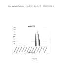 Human Monoclonal Antibodies Against Human Chemokine Receptor CCR7 diagram and image