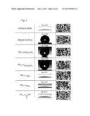 Reactive Superhydrophobic Surfaces, Patterned Superhydrophobic Surfaces,     Methods For Producing The Same And Use Of The Patterned Superhydrophobic     Surfaces diagram and image