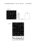 Reactive Superhydrophobic Surfaces, Patterned Superhydrophobic Surfaces,     Methods For Producing The Same And Use Of The Patterned Superhydrophobic     Surfaces diagram and image