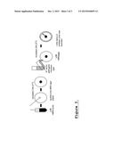 Components for Animal Feed and Use Thereof diagram and image