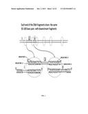 Whole Genome Mapping by DNA Sequencing With Linked-Paired-End Library diagram and image