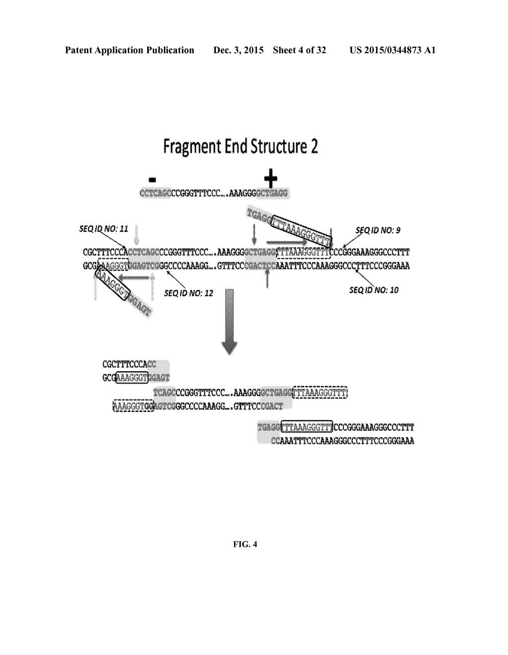 Whole Genome Mapping by DNA Sequencing With Linked-Paired-End Library - diagram, schematic, and image 05