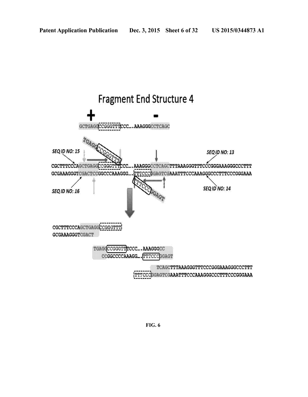 Whole Genome Mapping by DNA Sequencing With Linked-Paired-End Library - diagram, schematic, and image 07