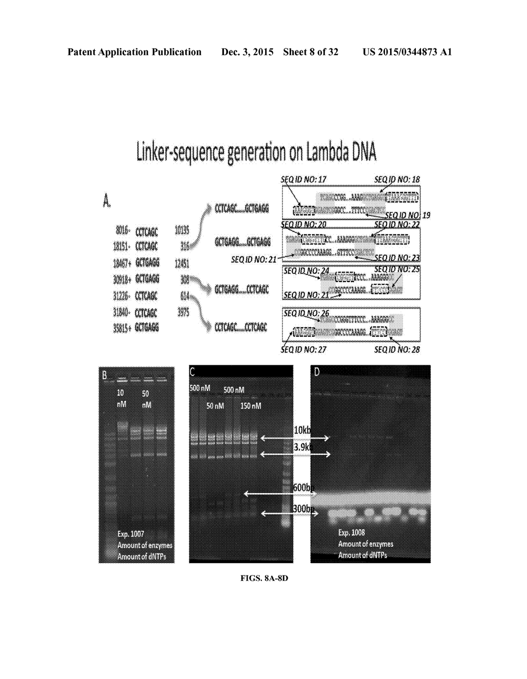 Whole Genome Mapping by DNA Sequencing With Linked-Paired-End Library - diagram, schematic, and image 09