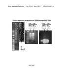 Whole Genome Mapping by DNA Sequencing With Linked-Paired-End Library diagram and image