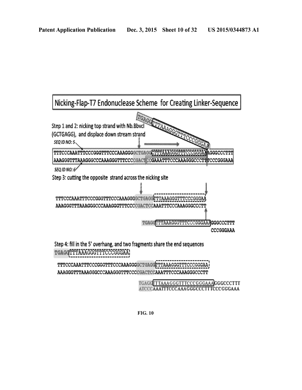 Whole Genome Mapping by DNA Sequencing With Linked-Paired-End Library - diagram, schematic, and image 11