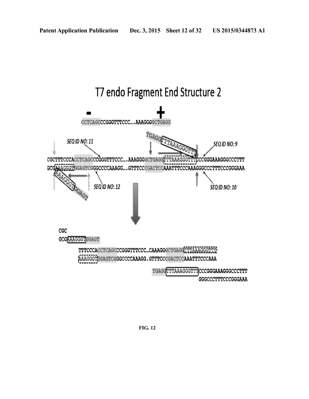 Whole Genome Mapping by DNA Sequencing With Linked-Paired-End Library - diagram, schematic, and image 13