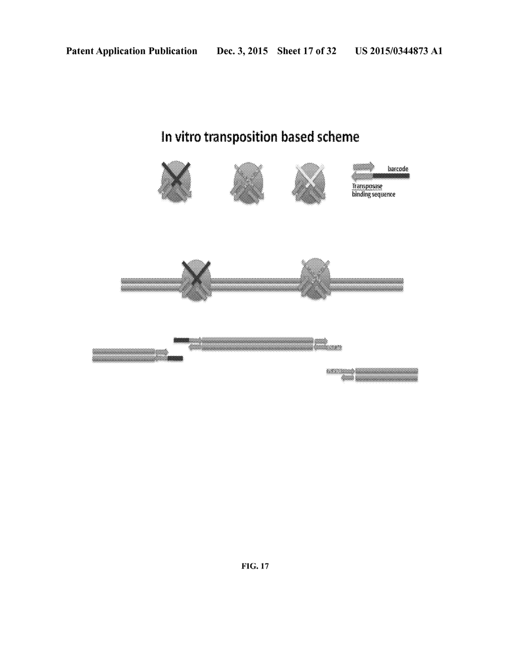 Whole Genome Mapping by DNA Sequencing With Linked-Paired-End Library - diagram, schematic, and image 18