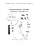 Whole Genome Mapping by DNA Sequencing With Linked-Paired-End Library diagram and image