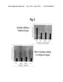 METHODS AND COMPOSITIONS INVOLVING MIRNA AND MIRNA INHIBITOR MOLECULES diagram and image