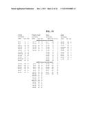 METHODS AND COMPOSITIONS INVOLVING MIRNA AND MIRNA INHIBITOR MOLECULES diagram and image