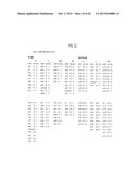 METHODS AND COMPOSITIONS INVOLVING MIRNA AND MIRNA INHIBITOR MOLECULES diagram and image