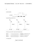 HBV TREATMENT diagram and image