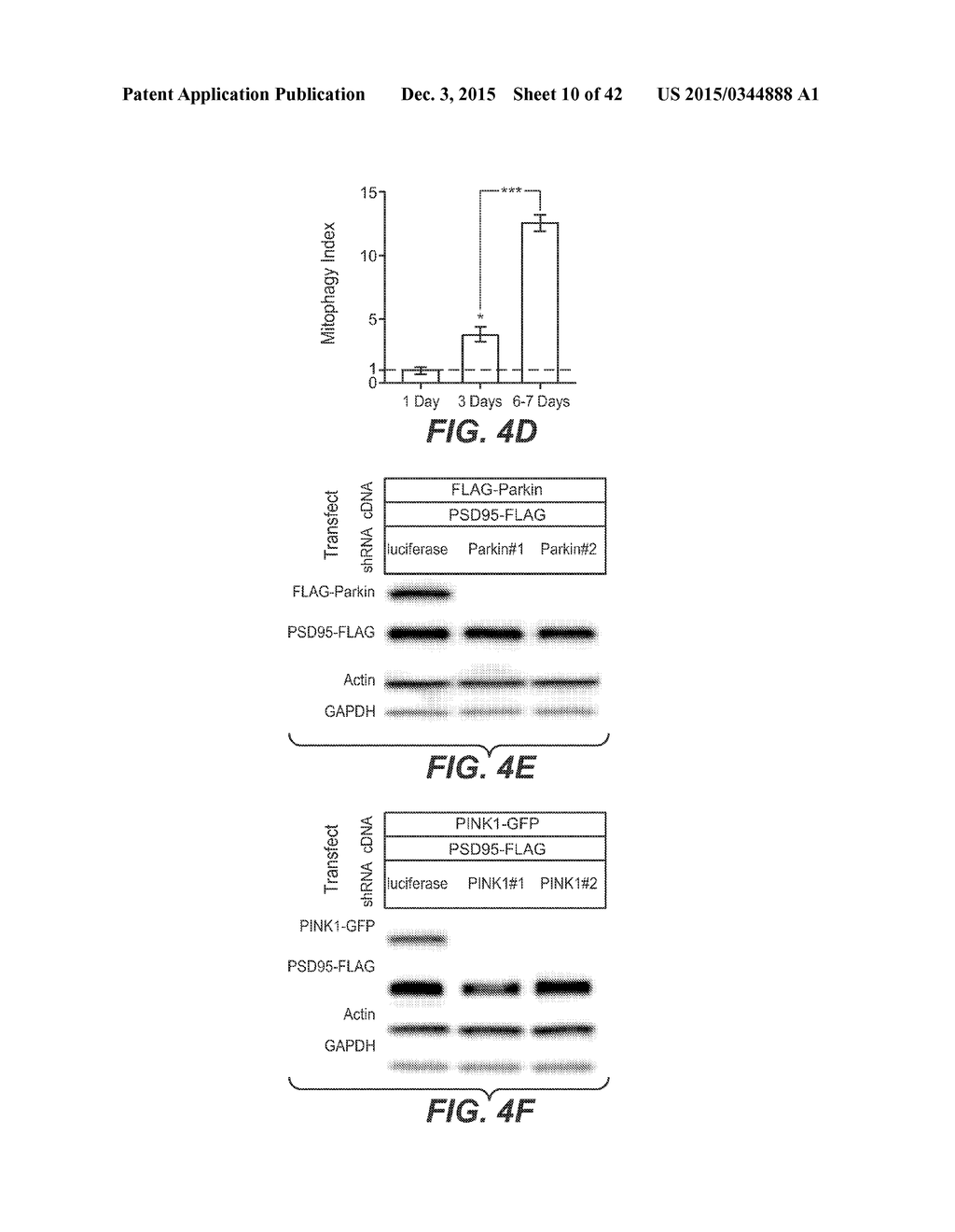 USP30 INHIBITORS AND METHODS OF USE - diagram, schematic, and image 11