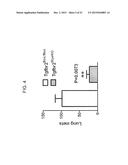 REDUCTION OF TGF BETA SIGNALING IN MYELOID CELLS IN THE TREATMENT OF     CANCER diagram and image