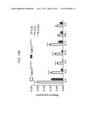 REDUCTION OF TGF BETA SIGNALING IN MYELOID CELLS IN THE TREATMENT OF     CANCER diagram and image