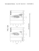 REDUCTION OF TGF BETA SIGNALING IN MYELOID CELLS IN THE TREATMENT OF     CANCER diagram and image