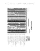 PLANTS HAVING ENHANCED YIELD-RELATED TRAITS AND A METHOD FOR MAKING THE     SAME diagram and image