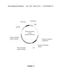 PLANTS HAVING ENHANCED YIELD-RELATED TRAITS AND A METHOD FOR MAKING THE     SAME diagram and image