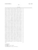 CODON-OPTIMIZED RECOMBINANT PHAGE AND METHODS OF USING SAME diagram and image