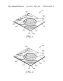 MICROBIAL DETECTION SYSTEM AND METHODS diagram and image