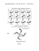 OLIGONUCLEOTIDE-MEDIATED QUANTITATIVE MULTIPLEXED IMMUNOASSAYS diagram and image