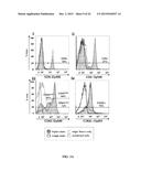 OLIGONUCLEOTIDE-MEDIATED QUANTITATIVE MULTIPLEXED IMMUNOASSAYS diagram and image