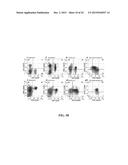 OLIGONUCLEOTIDE-MEDIATED QUANTITATIVE MULTIPLEXED IMMUNOASSAYS diagram and image