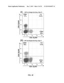 OLIGONUCLEOTIDE-MEDIATED QUANTITATIVE MULTIPLEXED IMMUNOASSAYS diagram and image