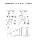 OLIGONUCLEOTIDE-MEDIATED QUANTITATIVE MULTIPLEXED IMMUNOASSAYS diagram and image