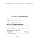 GENOTYPING BY NEXT-GENERATION SEQUENCING diagram and image