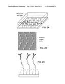 Methods For The Diagnosis Of Fetal Abnormalities diagram and image