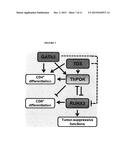 METHOD FOR DIAGNOSIS, PROGNOSIS AND DETERMINATION OF TREATMENT FOR     CUTANEOUS T-CELL LYMPHOMA diagram and image