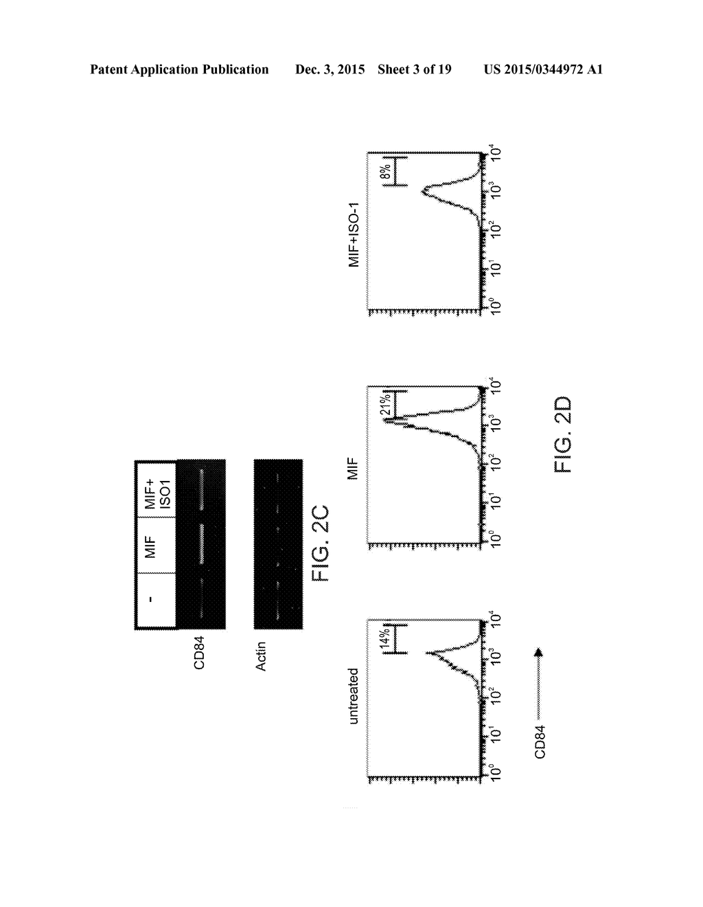 COMPOSITIONS COMPRISING SOLUBLE CD84 OR ANTI-CD84 ANTIBODIES AND METHODS     FOR DIAGNOSING AND TREATING B-CLL - diagram, schematic, and image 04